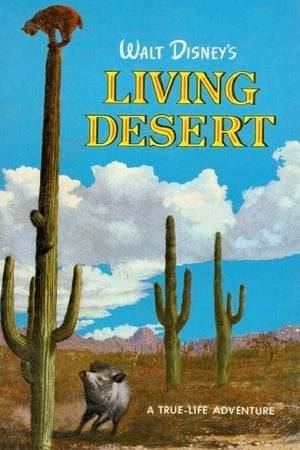 Although first glance reveals little more than stones and sand, the desert is alive. Witness moving rocks, spitting mud pots, gorgeous flowers and the never-ending battle for survival between desert creatures of every shape, size and description.