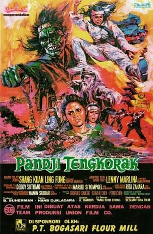 Panji Tengkorak tells the story of Panji, a master in the dark arts of silat (Indonesian martial art), who is searching for the person who had killed his wife. In his journey, Panji always disguises himself as a beggar and wears a skull mask. Even though he looked cruel, Panji is a good and loyal man.
