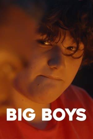 A coming-of-age story about Jamie, a chubby, gay fourteen year-old, who develops a crush on his older cousin's boyfriend, Dan, on a family camping trip.