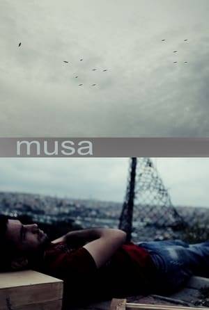 One day, director Zeki Demirkubuz stumbles upon the counter of Musa, a pirate film seller, and sees that his own films are also being sold. Demirkubuz will make an offer to Musa that can change his life.