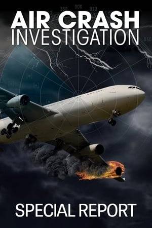 In this spinoff of Mayday/Air Crash Investigation, every episode examines multiple aviation disasters that prove to have similarities including; engines that separated from their aircrafts mid-flight, mismatched pilot pairings that led to deadly crashes, and improvised landings with tragic consequences.