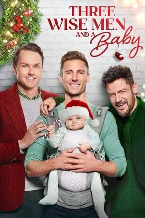 Three brothers get the surprise of their lives when they are forced to work together to care for a baby over the holidays. As they slowly get the hang of things, they find themselves on unexpected journeys of self-discovery and begin to rebuild their relationships as brothers, as well as the damaged romantic and professional relationships in their respective lives…all while rediscovering their love of Christmas.