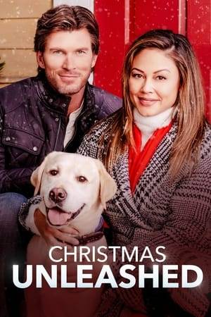 When Marla's dog runs away on Christmas Eve, she must team up with her ex-boyfriend Max to find him. As the pup leads the exes on an all-day-and-night search through their North Carolina hometown, they revisit people, places and things that remind them of the Christmas pasts they spent together.