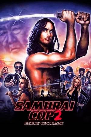 25 years later after the events of Samurai Cop (1991), Detective Frank Washington is forced to team up with his long estranged partner Joe Marshall to solve a series of assassinations being committed by a secret group of female vigilante killers.