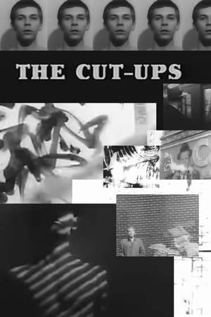 Essentially a dizzying montage of quirky shots of legendary Beat Generation writer William S. Burroughs and noted surrealist artist Brion Gysin, this nearly 20 minute avant-garde short features repeated articulations of such random things as "Hello," "Where are we now?," and "Look at that picture" instead of music or standard dialogue. The narrative is decidedly nonlinear and perplexing, with no discernible plot whatsoever as we see images of Gysin working on his paintings and calligraphic designs and Burroughs rummaging through draws, packing a suitcase, giving a young man a physical, making a call in a phone booth, and waiting on a platform for a subway train.