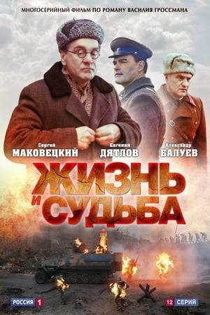 The plot takes place in 1942-1943, during the defense of Stalingrad. The Jew Viktor Strum is a talented nuclear physicist working in one of the country's institutes on the creation of an atomic bomb. At this time, Strum's relatives die in Nazi camps and NKVD dungeons, and persecution begins against him. The inventor can only be saved by his scientific brainchild, which Stalin himself became interested in. The state needs such a powerful weapon as an atomic bomb. The scientist has to make a choice: to remain faithful to science and work for the "leader of the nation" or to abandon his vocation and be destroyed.