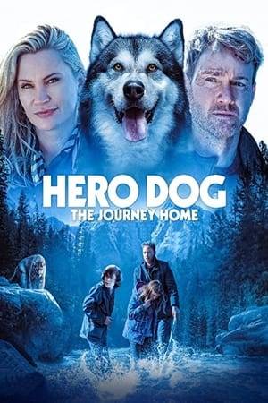 Chinook the Alaskan Malamute must lead a shipwrecked blind man out of the wilderness, while the man's children launch a rescue mission of their own.