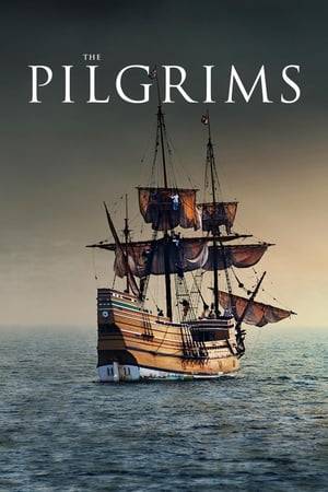 Arguably one of the most fateful and resonant events of the last half millennium, the Pilgrims journey west across the Atlantic in the early 17th century is a seminal, if often misunderstood episode of American and world history. The Pilgrims explores the forces, circumstances, personalities and events that converged to exile the English group in Holland and eventually propel their crossing to the New World; a story universally familiar in broad outline, but almost entirely unfamiliar to a general audience in its rich and compelling historical actuality. Includes the real history of the "first thanksgiving".