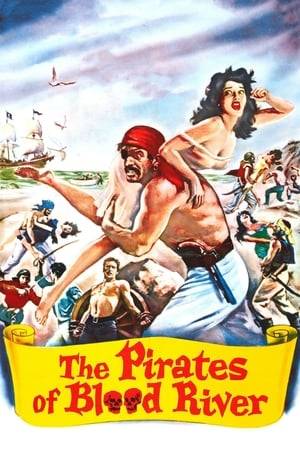 A group of ruthless pirates attack a 17th Century Huguenot settlement on the Isle of Devon in search of treasure and will stop at nothing to obtain it.