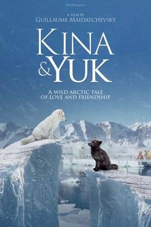 Kina & Yuk are two Arctic foxes, ready to start a family. But the climate is warmer, and the food is more and more rare. Kina & Yuk are obliged to venture far and far away.