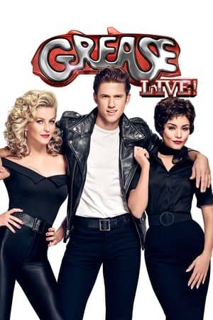 After enjoying a holiday romance, high school students Danny and Sandy are unexpectedly reunited when she transfers to Rydell High, where she must contend with cynical Rizzo and the Pink Ladies.