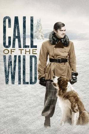 Jack Thornton has trouble winning enough at cards for the stake he needs to get to the Alaska gold fields. His luck changes when he pays $250 for Buck, a sled dog that is part wolf to keep him from being shot by an arrogant Englishman also headed for the Yukon. En route to the Yukon with Shorty Houlihan -- who spent time in jail for opening someone else's letter with a map of where gold is to be found -- Jack rescues a woman whose husband was the addressee of that letter. Buck helps Jack win a $1,000 bet to get the supplies he needs. And when Jack and Claire Blake pet Buck one night, fingers touch.