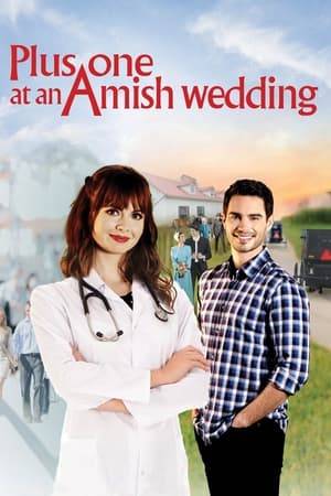 April works at a prestigious hospital in New York and has recently met a handsome veterinarian named Jesse. Jesse receives an invitation to his brother's wedding, so he and April travel to Amish Country to meet with those Jesse left behind years ago.
