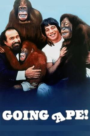 When his father - who owned a circus - dies, Oscar inherits 5 million dollars - and 3 orangutans. However there's a condition connected to the money: if he gives away the apes or just one gets sick or dies during the next 3 years, the zoologic society will get all the money. So he not only has to deal with 3 apes and an annoyed girlfriend, but also with a greedy zoologic society's president.