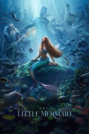 The youngest of King Triton’s daughters, and the most defiant, Ariel longs to find out more about the world beyond the sea, and while visiting the surface, falls for the dashing Prince Eric. With mermaids forbidden to interact with humans, Ariel makes a deal with the evil sea witch, Ursula, which gives her a chance to experience life on land, but ultimately places her life – and her father’s crown – in jeopardy.