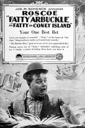 Arbuckle escapes the watch of his domineering wife and heads for Coney Island. Keaton arrives that same day with his attractive, and rather easy, girlfriend, who is immediately stolen from him by St. John.