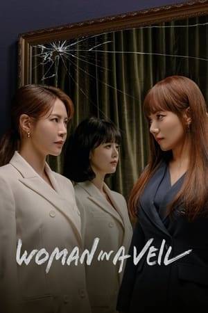 Jung Gyul Wool loses her vision and ability to walk because of her materialistic husband and his mistress. Despite her shortcomings, she hatches a plot to seek revenge.