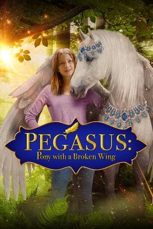 It’ll take a miracle to save the Killian family’s ranch… but miracles come in all shapes and sizes. Just as a greedy developer plans to take over their ranch, tween girl Sydney Killian and a neighbor boy ﬁnd a mysterious pony with an injured wing. As they secretly heal the creature, they ﬁnd the pony’s magical powers could change their fortunes forever.
