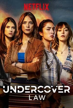 An action-packed series about several Colombian women who work as intelligence agents. They investigate the perilous criminal activities of drug lords while maintaining their lives outside of work. Undercover Law is based on a true story.