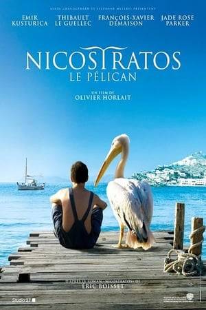 After his wife died a man refuses to go out and doesn't want to talk to his only son. Life has no meaning for him. One day his son finds a baby pelican and decides to leave the bird at home. Pelican helps the boy find his father again and revive him back to life ...