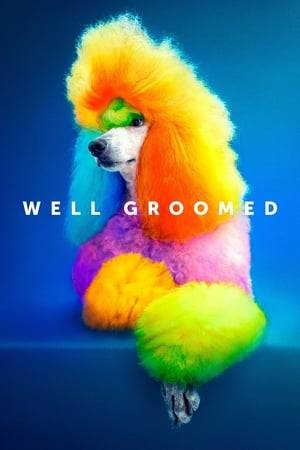 Travel the humorous, visually stunning world of Competitive Creative Dog Grooming alongside the colorful women transforming their beloved poodles into living sculptures.