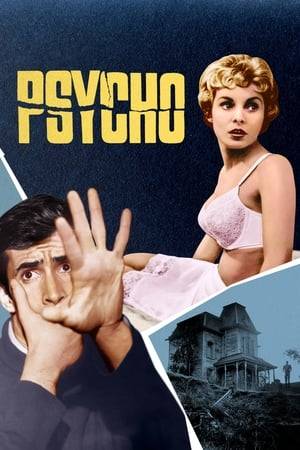 When larcenous real estate clerk Marion Crane goes on the lam with a wad of cash and hopes of starting a new life, she ends up at the notorious Bates Motel, where manager Norman Bates cares for his housebound mother.