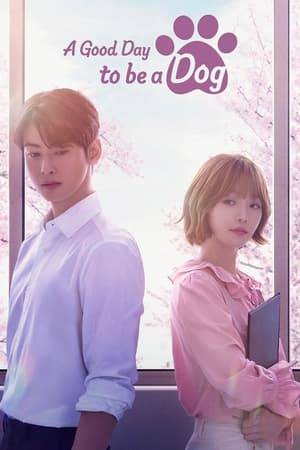 Hae-na who is bound to inherit her family curse which is turning into a dog after getting her first kiss. The only way to break the curse is to get a second kiss. The problem is the guy who gave Hae-na her first kiss is afraid of dogs.