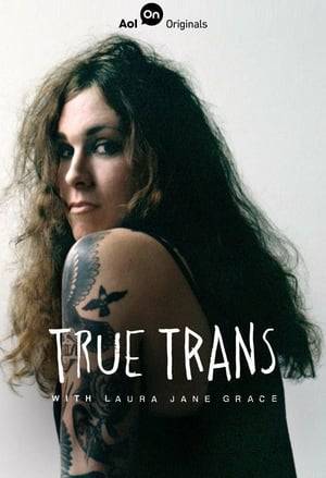 True Trans tells the story of Against Me!'s punk rock singer Laura Jane Grace who came out as a transgender woman in 2012, and the experiences of other trans and gender-variant people she met on the road.