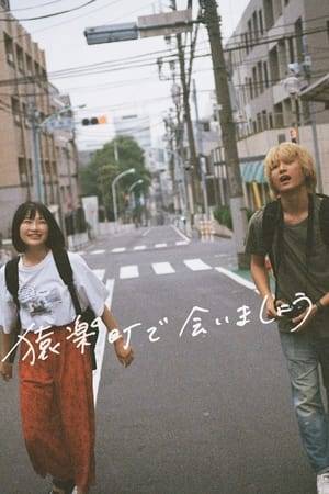 A bittersweet love story depicting the end of the romance between an amateur model named Yuka and Koyamada, a photographer who wants to capture her real face.