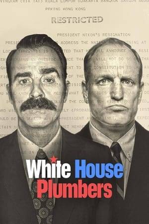 The true story of how Nixon’s own political saboteurs and Watergate masterminds accidentally toppled the Presidency they were zealously trying to protect.