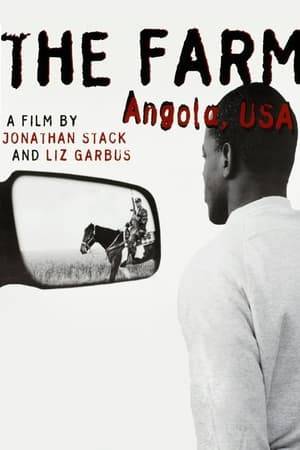 Documentary depicting day to day life in Angola Prison mostly from an inmate's perspective. Interviews are with several inmates including one with a life sentence who is about to die.
