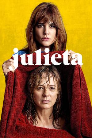 The film spans 30 years in Julieta’s life from a nostalgic 1985 where everything seems hopeful, to 2015 where her life appears to be beyond repair and she is on the verge of madness.