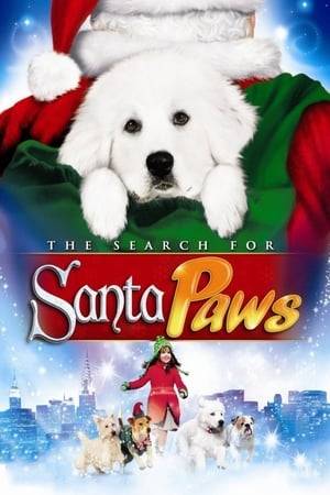 In the tradition of disney's classic holiday tales comes a heartwarming movie about the power of giving and the true meaning of christmas. Discover how the legendary friendship of Santa Claus and Santa Paws began in the inspiring original film, The Search For Santa Paws. When Santa and his new best friend, Paws, discover that the boys and girls of the world have lost the spirit of the season, they take a trip to New York City. But after Santa loses his memory, it's up to Paws, a faithful orphan named Quinn, her new friend Will, and a wonderful group of magical talking dogs to save St. Nick and show the world what Christmas is really all about.