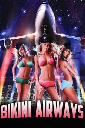 The sexy fun flies fast and furious as Teri inherits a failing airline that's deep in debt. To turn things around, she and her girlfriends decide to charter the plane out for flying bachelor parties with great success!