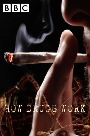 Using visual effects and CGI the effects of drugs on the human body are examine, and the myths and controversies that surround them confronted.