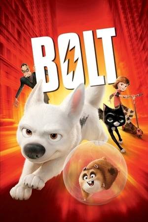Bolt is the star of the biggest show in Hollywood. The only problem is, he thinks it's real. After he's accidentally shipped to New York City and separated from Penny, his beloved co-star and owner, Bolt must harness all his "super powers" to find a way home.