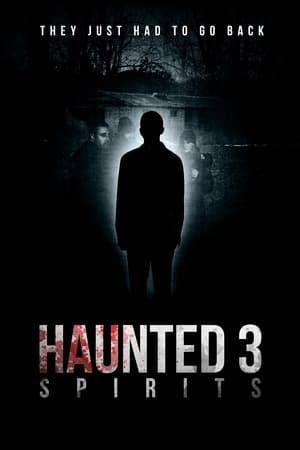 Andrew Robinson returns to the Halloween horror nights phenomenon. On a rural farm in deepest, England he encounters a series of paranormal events that lead to a mystery being solved with frightening consequences and ultimate finale.
