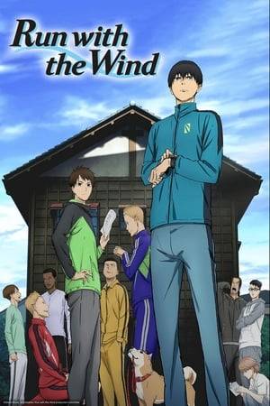 Kakeru, a former elite runner at high school, is chased for stealing food. He is saved by Kansei University student Haiji, who is also a runner. Haiji persuades Kakeru to live in the old apartment "Chikuseisou" where he plans to team up with fellow residents to enter Hakone Ekiden Marathon, one of the most prominent university races in Japan. Kakeru soon finds out that all of the residents except for Haiji and himself are complete novices.