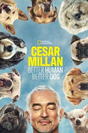 Showcases Cesar Millan as he takes on the most challenging cases yet, treating a host of new canine behavioral issues impacted by well-intentioned but impulsive owners.