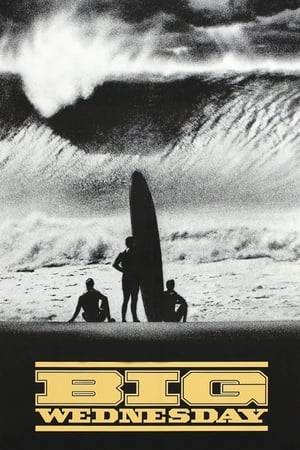 Three 1960s California surfers fool around, drift apart and reunite years later to ride epic waves.