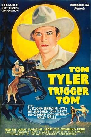 Tom Hilton and Stub Macey are heading to the Jergenson ranch to buy his cattle. But Jeckyl and Sheriff Slater control the cattle market forcing the ranchers to buy at their price and they intend to keep the newcomers out.