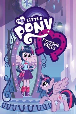 Via a magic mirror, Twilight Sparkle travels into an alternate universe in order to recover a crown that was stolen from the Crystal Empire. Upon her arrival she is horrified to learn that she has turned into a human.