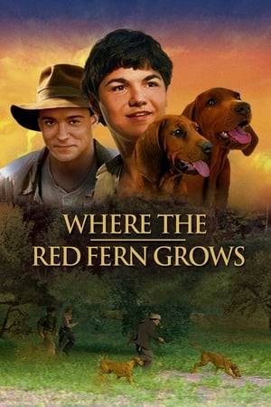Set in the Ozark Mountains during the Great Depression, Billy Coleman works hard and saves his earnings for 2 years to achieve his dream of buying two coonhound pups. He develops a new trust in God as he faces overwhelming challenges in adventure and tragedy roaming the river bottoms of Cherokee country with "Old Dan" and "Little Ann."