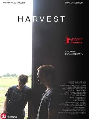 Breathtaking in its subtle beauty, Harvest is an achingly romantic tale of an innocent but ever increasingly passionate affair that develops between two simple farmhands. Life on a farm is all that sullen teen Marco knows- leading a perfunctory and quiet life of working, going to school and avoiding the advances of girls. However, his self-imposed solitude ends when curly-haired Jakob, rejecting the banking world for farming, arrives to train on the farm. Although initially cautious and tentative with each other, it is soon obvious that the unspoken sexual tension is becoming increasingly hard to resist - something a spontaneous trip to Berlin. Proving that true love can blossom in even the most unlikely of places, Harvest is as rich and rewarding as it is heart-warming.
