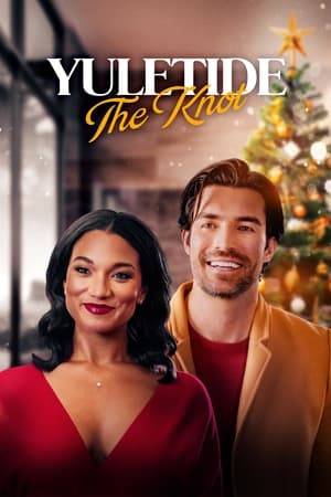Small town wedding planner Rachel is planning her biggest Christmas wedding for an influencer couple, is thrown a surprise when the bride's manager turns out to be Logan, her first love and high school sweetheart - her one that got away.