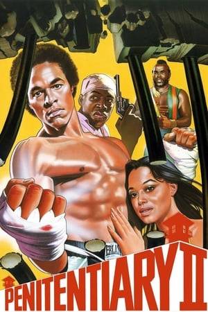 An ex-con, on parole and trying to straighten his life out, decides to resume his boxing career when one of his prison enemies escapes and kills his girlfriend.