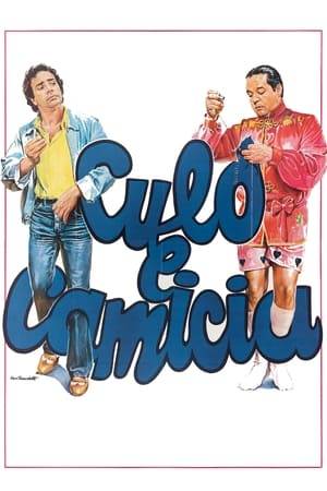 The movie is basically two unrelated comedic features: the first one features the travails of a man who stutters and tries to woo a woman he wants to date. The second features the wonderful Renato Pozetto as a gay man who lives with a partner, but finds himself falling for a woman, and not knowing how to tell his partner, who is prone to melodrama.