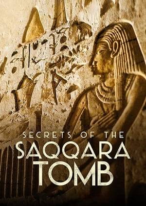 This documentary follows a team of local archaeologists excavating never before explored passageways, shafts, and tombs, piecing together the secrets of Egypt’s most significant find in almost 50 years in Saqqara.