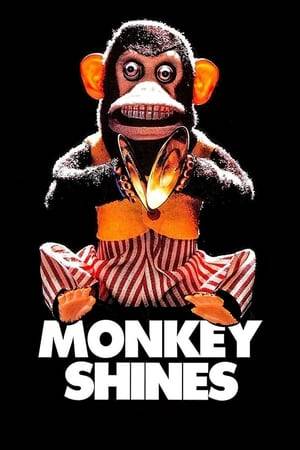 A quadriplegic man is given a trained monkey help him with every day activities, until the little monkey begins to develop feelings, and rage, against its new master and those who get too close to him.