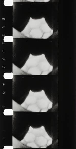 “This film metaphors an entire human life: birth, sex, death – the framing device is the fingers and palm of the maker’s hand, wherein others only attempt to read the future.” – Stan Brakhage